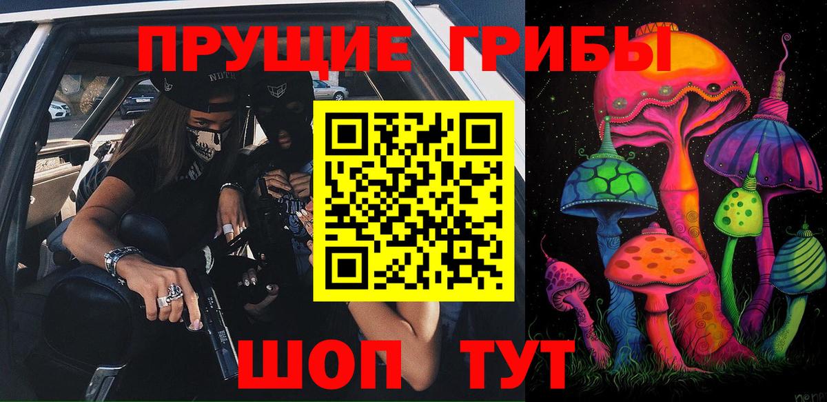 Дербент  хочу   Вход с VPN  Галлюциногенные грибы прущие грибы 